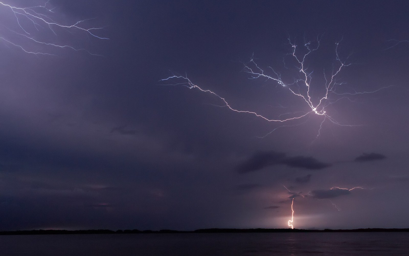 Branching lightning bolts illuminate a dark sky above a calm lake at night