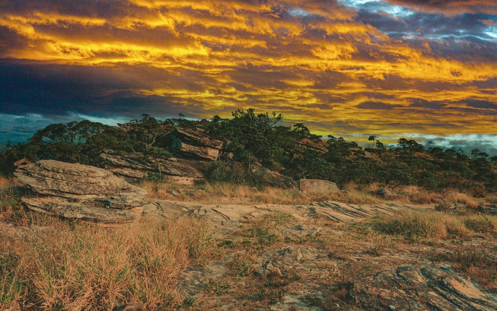 Golden clouds glow over a rocky outcrop and dry grassland on the Gran Sabana tableland