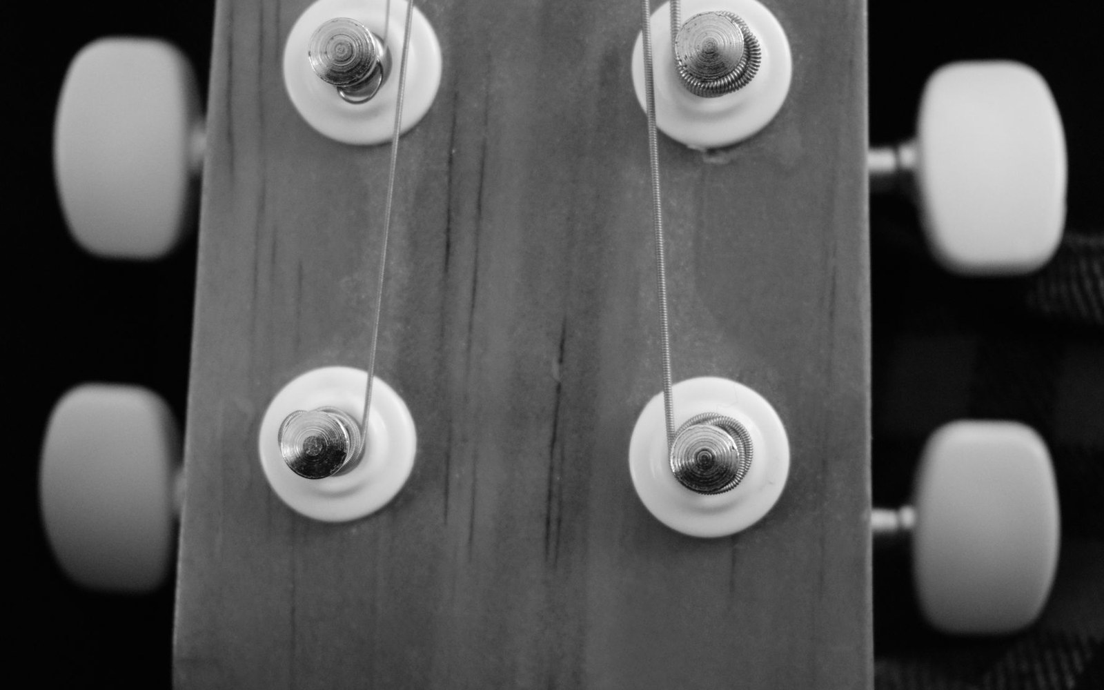 Close-up of a ukulele headstock showing four tuning pegs and strings in black and white